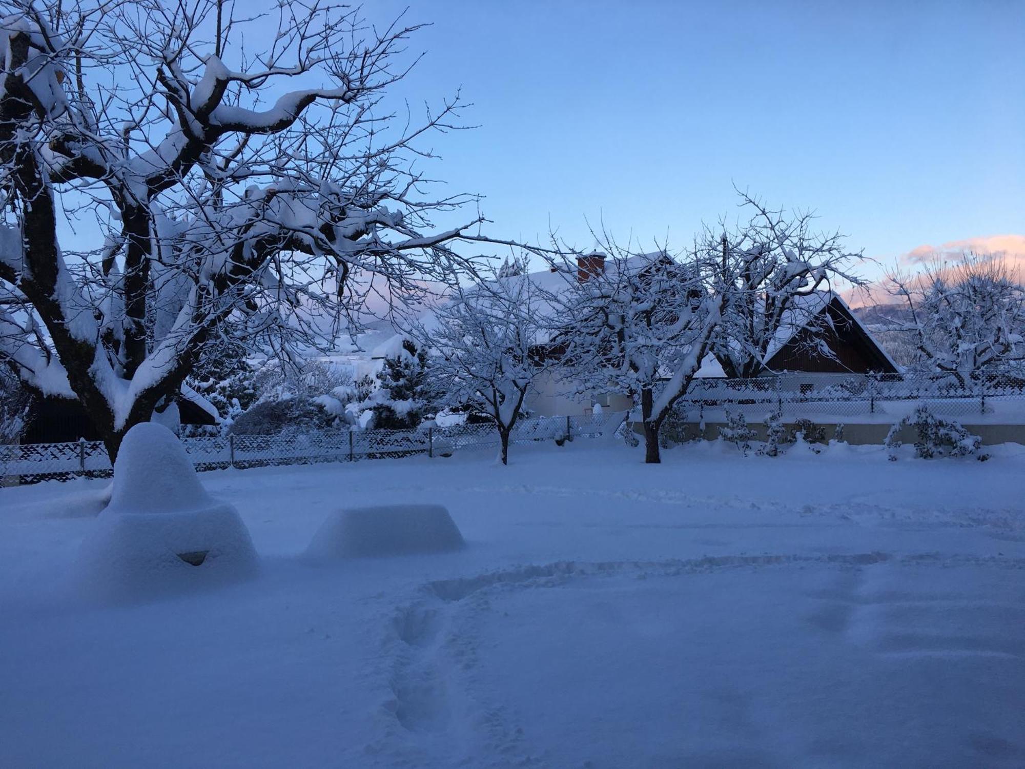 Appartamento Haus Frank & Sophie Feldkirchen in Kärnten Esterno foto